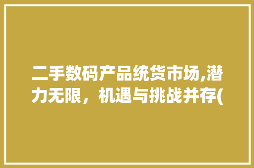 二手数码产品统货市场,潜力无限，机遇与挑战并存(二手数码产品统货) 汽车常识