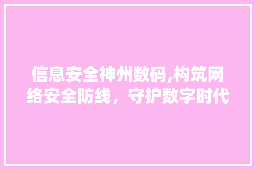 信息安全神州数码,构筑网络安全防线，守护数字时代信息安全(信息安全神州数码) 美食菜谱