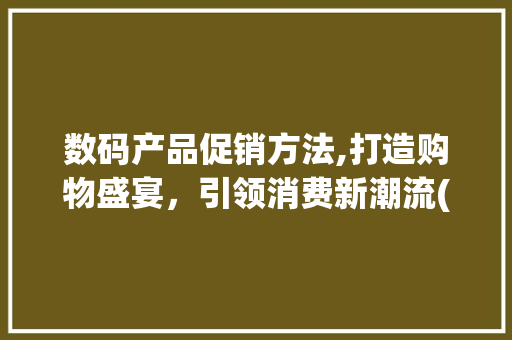 数码产品促销方法,打造购物盛宴，引领消费新潮流(数码产品促销方法) 健康母婴