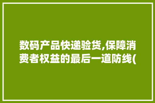 数码产品快递验货,保障消费者权益的最后一道防线(数码产品快递验货) 时尚穿搭