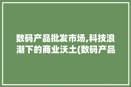 数码产品批发市场,科技浪潮下的商业沃土(数码产品批发市场) 健康母婴