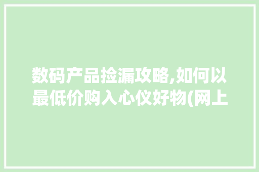 数码产品捡漏攻略,如何以最低价购入心仪好物(网上数码产品捡漏) 美食菜谱