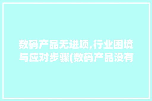 数码产品无进项,行业困境与应对步骤(数码产品没有进项) 时尚穿搭