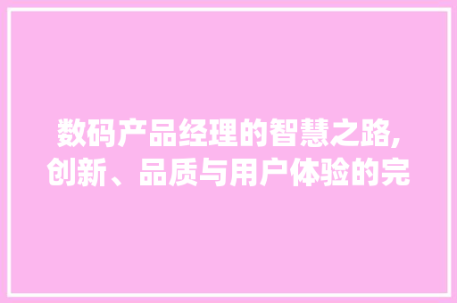 数码产品经理的智慧之路,创新、品质与用户体验的完美融合(数码产品产品经理) 教育法律