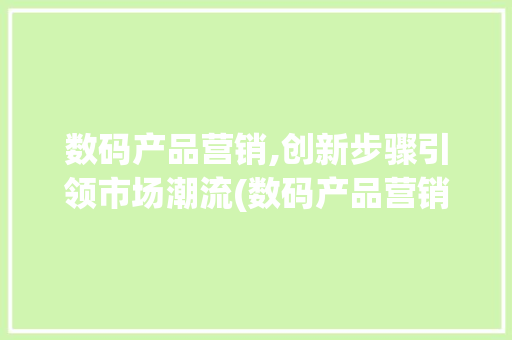 数码产品营销,创新步骤引领市场潮流(数码产品营销方法) 手机电脑