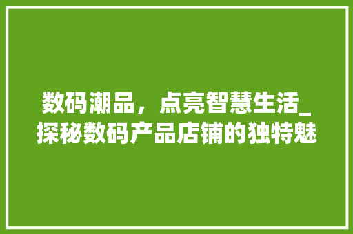 数码潮品，点亮智慧生活_探秘数码产品店铺的独特魅力(数码产品店铺图片) 汽车常识