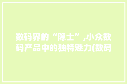 数码界的“隐士”,小众数码产品中的独特魅力(数码产品哪个小众) 健康母婴