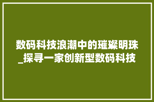 数码科技浪潮中的璀璨明珠_探寻一家创新型数码科技公司的崛起之路(数码科技公司起名) 汽车常识