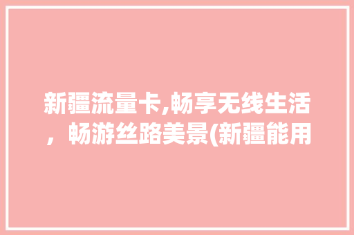 新疆流量卡,畅享无线生活，畅游丝路美景(新疆能用的流量卡) 汽车常识
