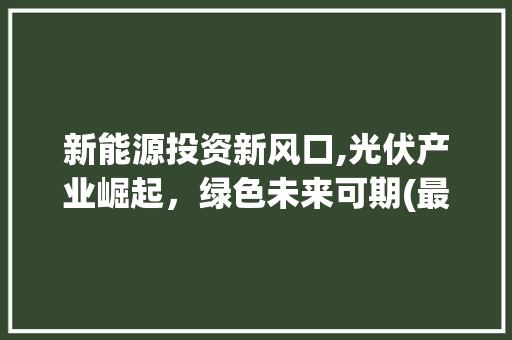 新能源投资新风口,光伏产业崛起，绿色未来可期(最新热门投资项目) 手机电脑