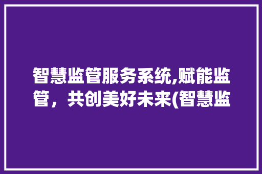 智慧监管服务系统,赋能监管，共创美好未来(智慧监管服务系统) 教育法律