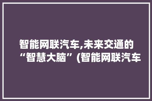 智能网联汽车,未来交通的“智慧大脑”(智能网联汽车定义) 时尚穿搭
