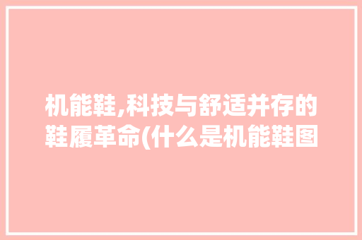 机能鞋,科技与舒适并存的鞋履革命(什么是机能鞋图片) 教育法律