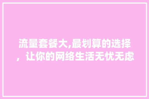 流量套餐大,最划算的选择，让你的网络生活无忧无虑(最划算的流量套餐) 健康母婴
