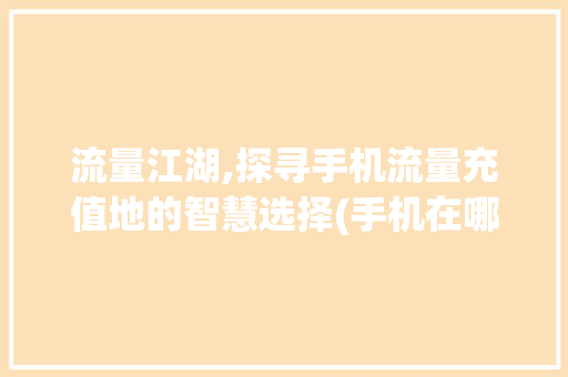 流量江湖,探寻手机流量充值地的智慧选择(手机在哪里充流量) 手机电脑