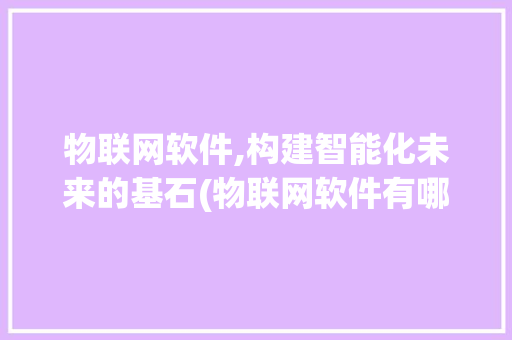 物联网软件,构建智能化未来的基石(物联网软件有哪些) 健康母婴