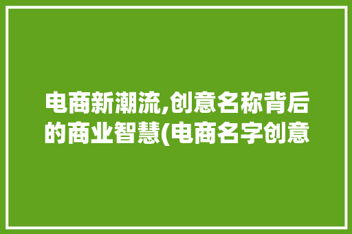 电商新潮流,创意名称背后的商业智慧(电商名字创意名称) 时尚穿搭