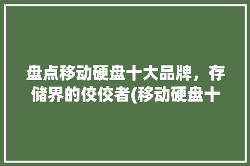盘点移动硬盘十大品牌，存储界的佼佼者(移动硬盘十大品牌) 旅游攻略