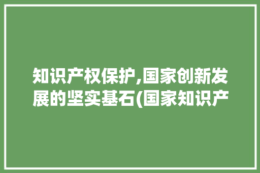 知识产权保护,国家创新发展的坚实基石(国家知识产权平台) 美食菜谱