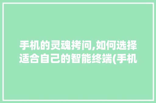 手机的灵魂拷问,如何选择适合自己的智能终端(手机灵魂拷问)