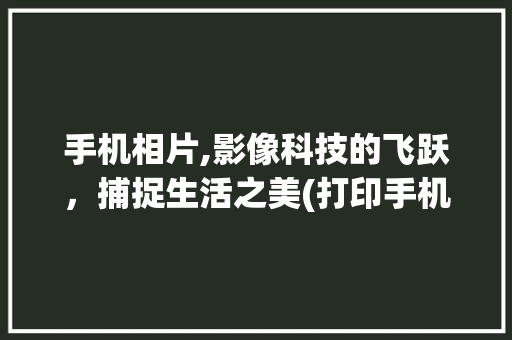 手机相片,影像科技的飞跃，捕捉生活之美(打印手机相片) 旅游攻略