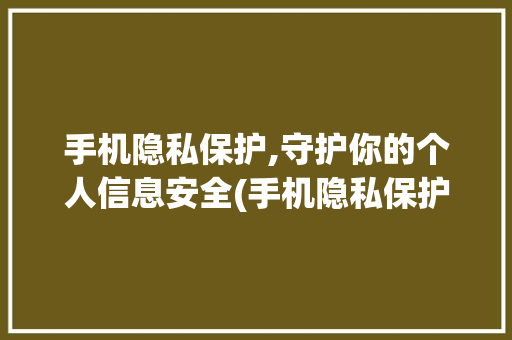 手机隐私保护,守护你的个人信息安全(手机隐私保护)