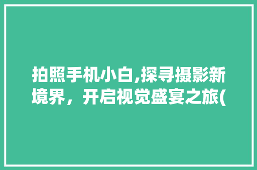 拍照手机小白,探寻摄影新境界，开启视觉盛宴之旅(拍照手机小白)
