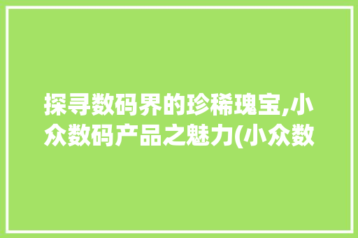 探寻数码界的珍稀瑰宝,小众数码产品之魅力(小众数码产品文案)