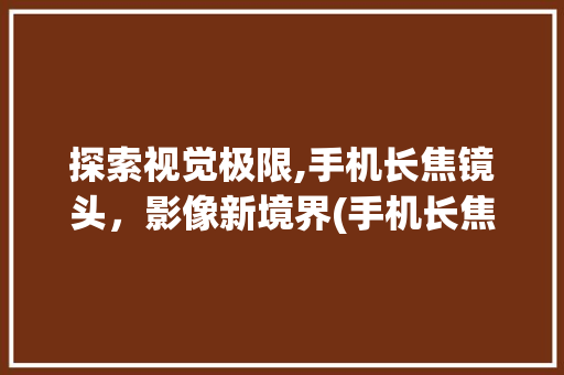 探索视觉极限,手机长焦镜头，影像新境界(手机长焦镜头)