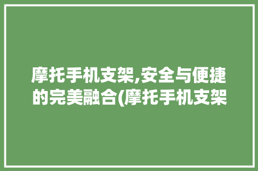 摩托手机支架,安全与便捷的完美融合(摩托手机支架) 旅游攻略