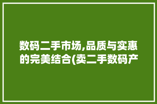 数码二手市场,品质与实惠的完美结合(卖二手数码产品的) 汽车常识