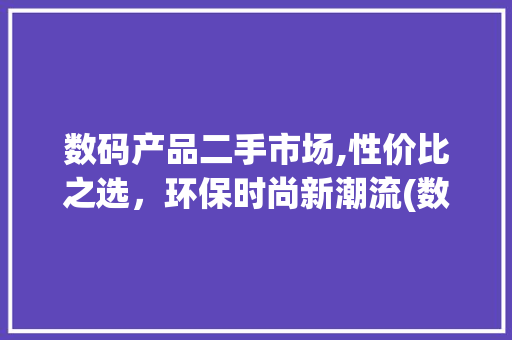 数码产品二手市场,性价比之选，环保时尚新潮流(数码产品二手推荐) 美食菜谱