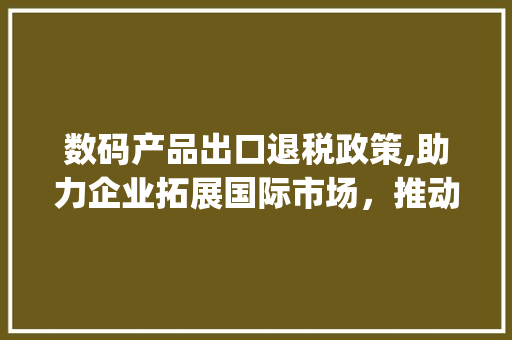 数码产品出口退税政策,助力企业拓展国际市场，推动经济高质量发展(数码产品出口退税)