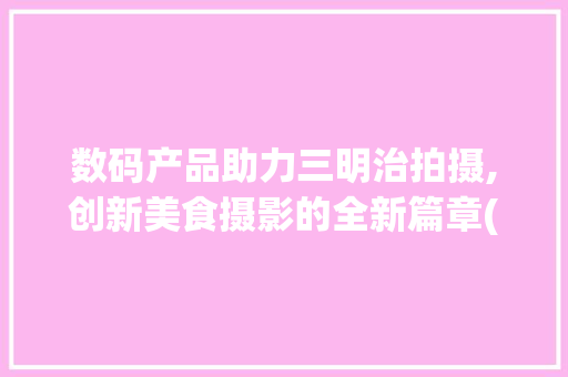 数码产品助力三明治拍摄,创新美食摄影的全新篇章(数码产品拍三明治) 汽车常识