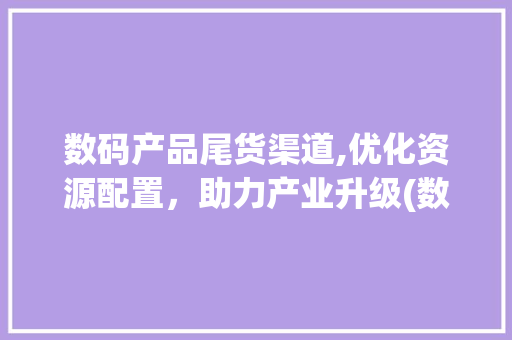 数码产品尾货渠道,优化资源配置，助力产业升级(数码产品尾货渠道) 健康母婴