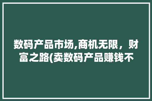 数码产品市场,商机无限，财富之路(卖数码产品赚钱不)