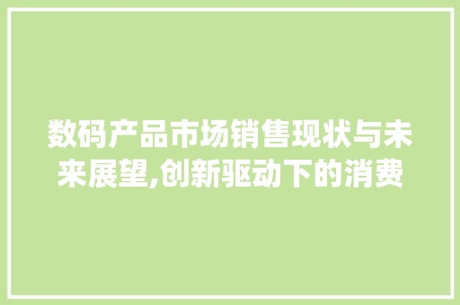 数码产品市场销售现状与未来展望,创新驱动下的消费新趋势(数码产品销售情况)