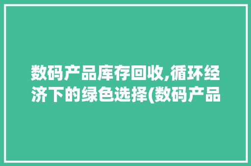 数码产品库存回收,循环经济下的绿色选择(数码产品库存回收) 汽车常识