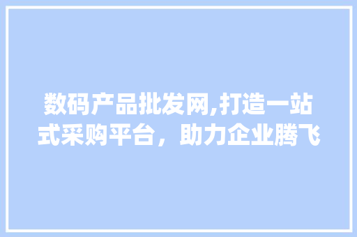 数码产品批发网,打造一站式采购平台，助力企业腾飞(数码产品的批发网)