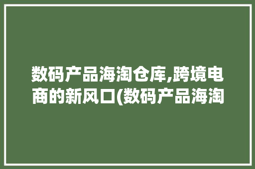 数码产品海淘仓库,跨境电商的新风口(数码产品海淘仓库)