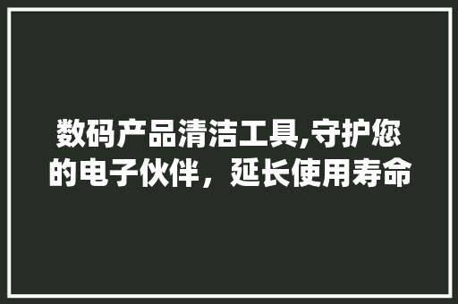 数码产品清洁工具,守护您的电子伙伴，延长使用寿命(数码产品清洁工具)