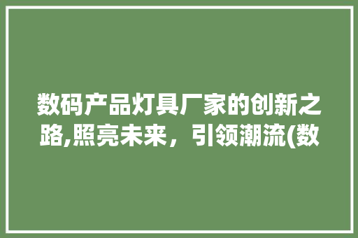 数码产品灯具厂家的创新之路,照亮未来，引领潮流(数码产品灯具厂家)