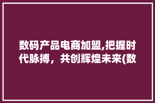 数码产品电商加盟,把握时代脉搏，共创辉煌未来(数码产品电商加盟)