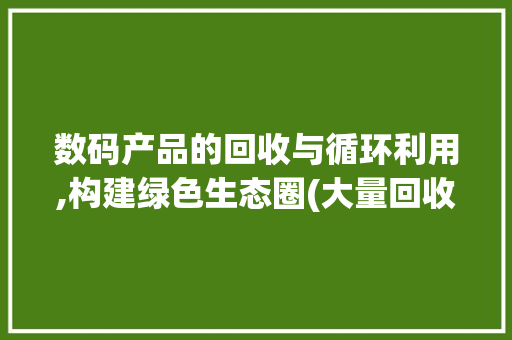数码产品的回收与循环利用,构建绿色生态圈(大量回收数码产品) 时尚穿搭