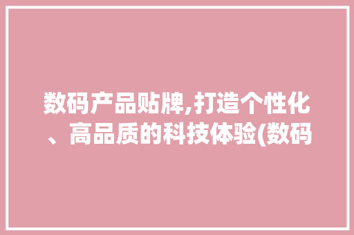 数码产品贴牌,打造个性化、高品质的科技体验(数码产品贴牌资源) 美食菜谱