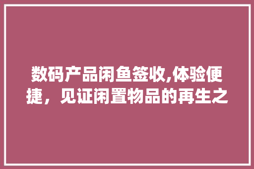 数码产品闲鱼签收,体验便捷，见证闲置物品的再生之旅(数码产品闲鱼签收) 教育法律