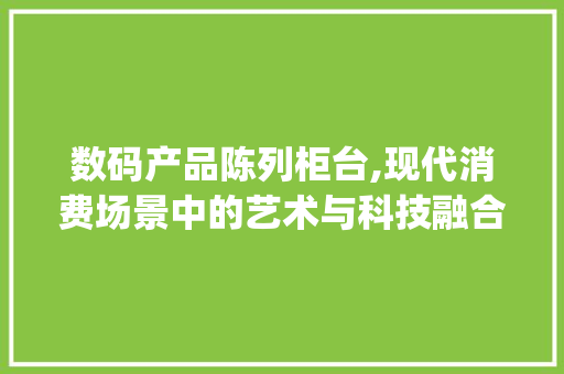 数码产品陈列柜台,现代消费场景中的艺术与科技融合(数码产品陈列柜台) 时尚穿搭