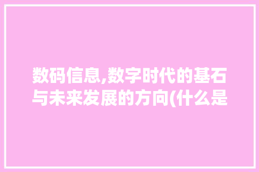 数码信息,数字时代的基石与未来发展的方向(什么是叫数码信息)