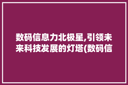 数码信息力北极星,引领未来科技发展的灯塔(数码信息力北极星) 健康母婴