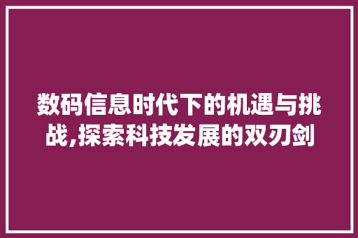 数码信息时代下的机遇与挑战,探索科技发展的双刃剑(数码信息历出问题)
